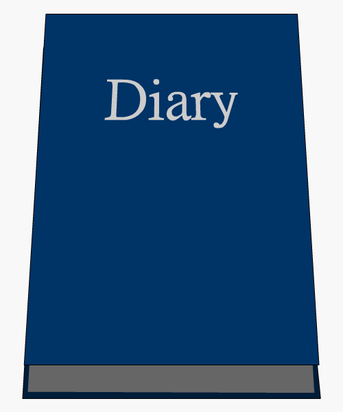 A book with 'Diary' written on the cover
