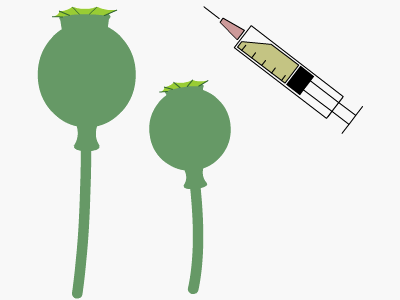 Heroin needle and opium poppies