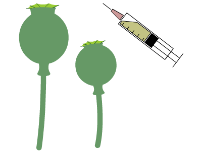 Heroin needle and opium poppies