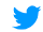 Twitter bird icon