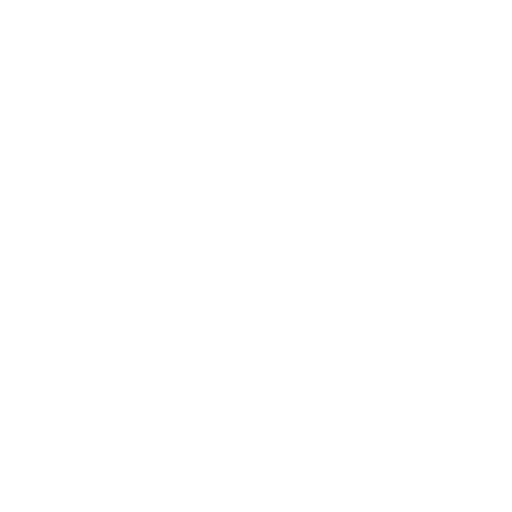 X icon